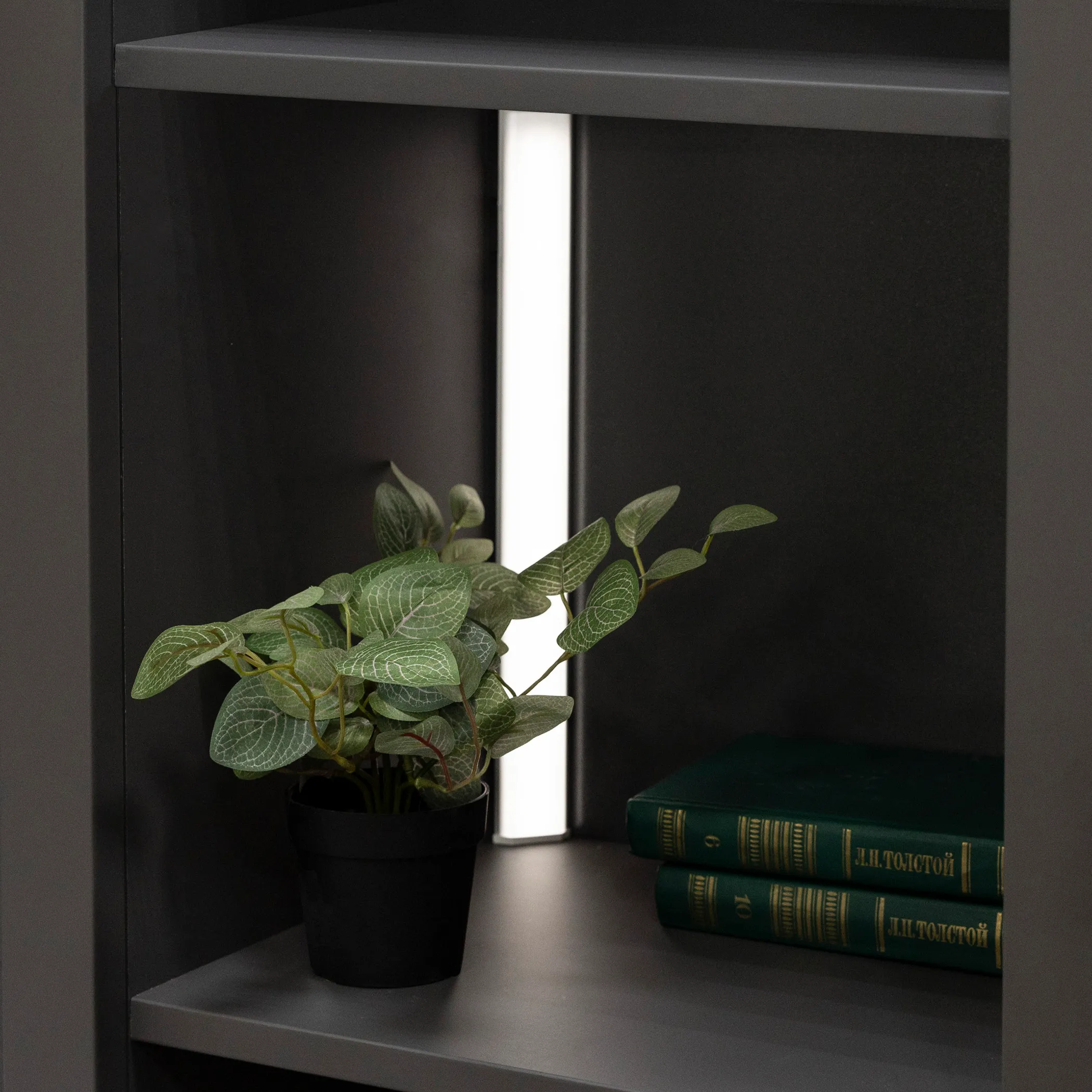 Светильник светодиодный Luminara, аккумуляторный, на движение, 2W, 300 мм, с пультом управления, алюминий, AKS